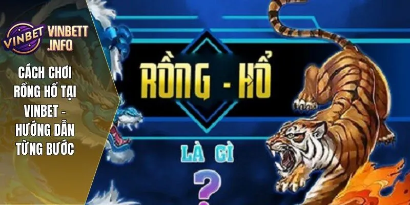 Cách Chơi Rồng Hổ Tại Vinbet - Hướng Dẫn Từng Bước 2 cach choi rong ho 1